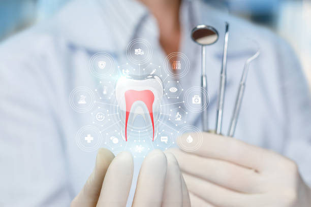 Best Veneers and Lumineers  in Beverly Hills, FL